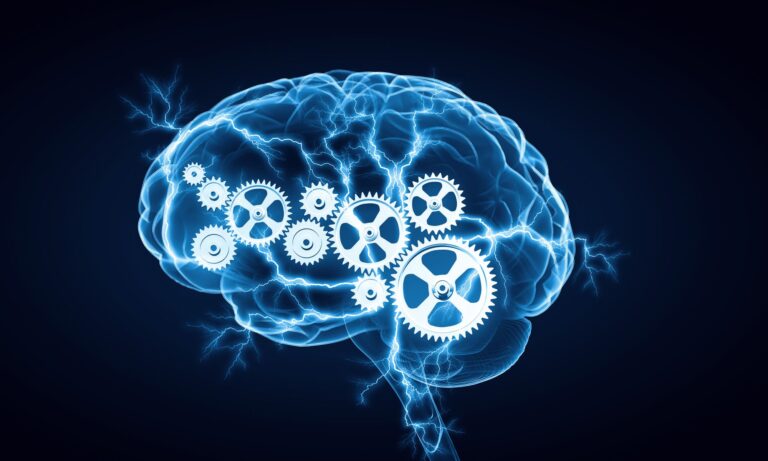 B2B Cognitive Load Optimization: Key to Business Success